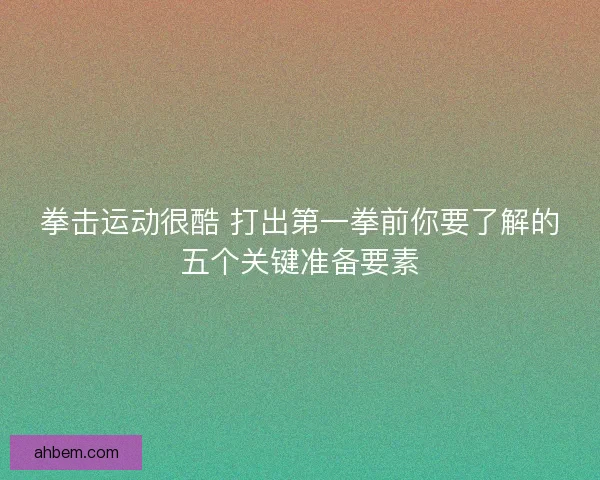 拳击运动很酷 打出第一拳前你要了解的五个关键准备要素