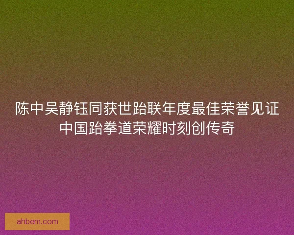 陈中吴静钰同获世跆联年度最佳荣誉见证中国跆拳道荣耀时刻创传奇