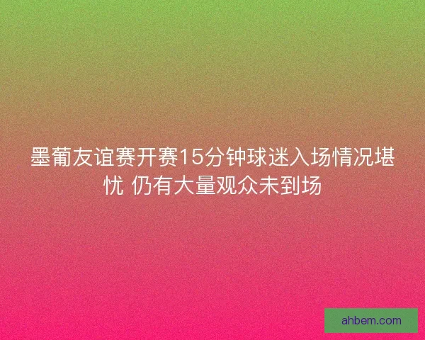 墨葡友谊赛开赛15分钟球迷入场情况堪忧 仍有大量观众未到场