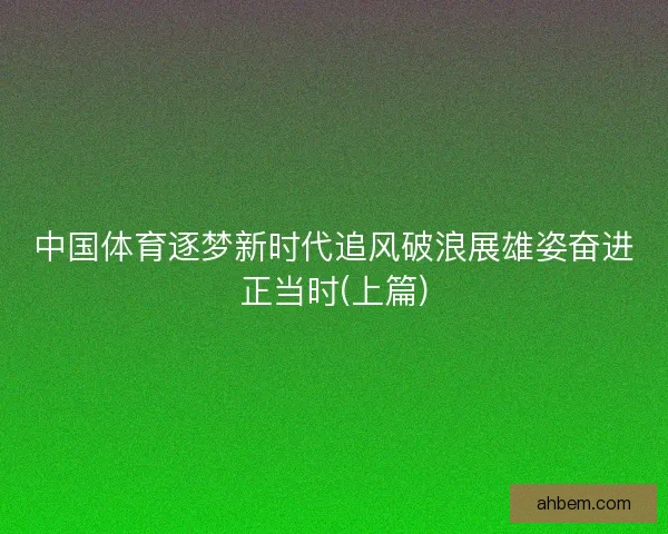 中国体育逐梦新时代追风破浪展雄姿奋进正当时(上篇)