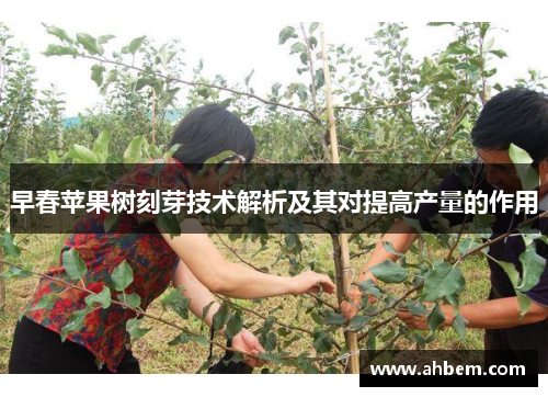 早春苹果树刻芽技术解析及其对提高产量的作用